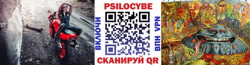 наркотики  Белгород  Псилоцибиновые грибы прущие грибы 